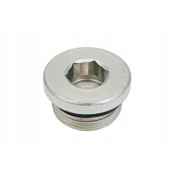 A400100e 16 closing plug m33 x 2 5