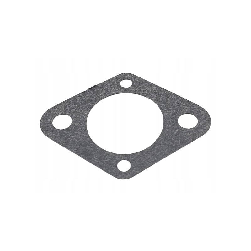 Carburetor gasket bs 5002005666 2005666