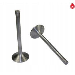 C 385 Ursus turbo intake valve