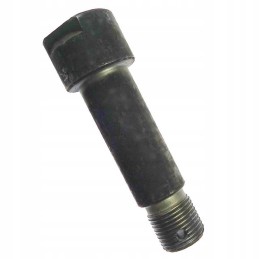 Motogeneric steering pin