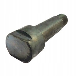Motogeneric steering pin