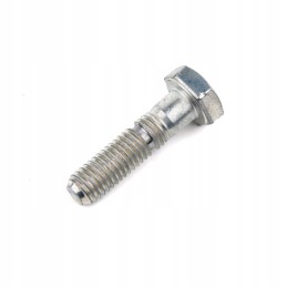Famarol Union Press Shear Screw 5595 033 01 903