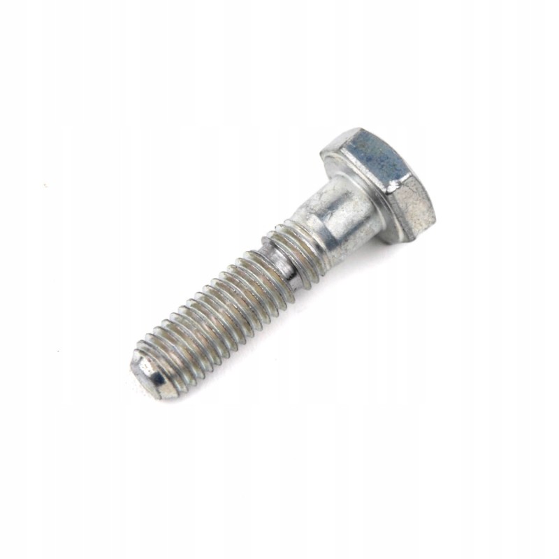 Famarol Union Press Shear Screw 5595 033 01 903