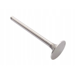 Exhaust valve mf 31431761