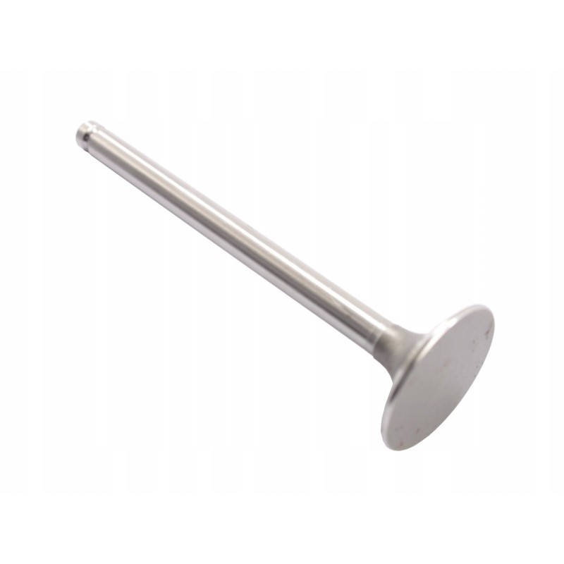 Exhaust valve mf 31431761