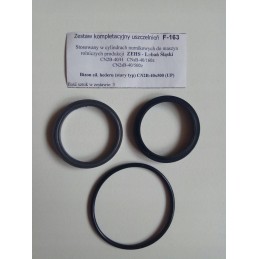 Seals of the hedar engine, old type Bizon F 163