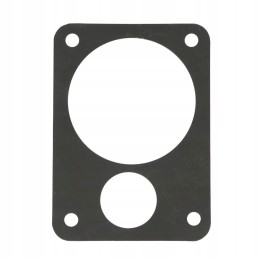 Pump gasket ostrich 50602020