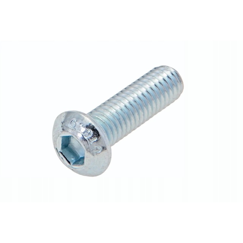 F01030043r hexagon head screw m6 x 20
