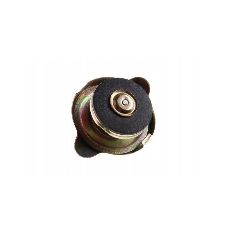 Radiator cap c 360 50413610
