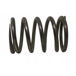 Outer valve spring 80005013 c 385 c385