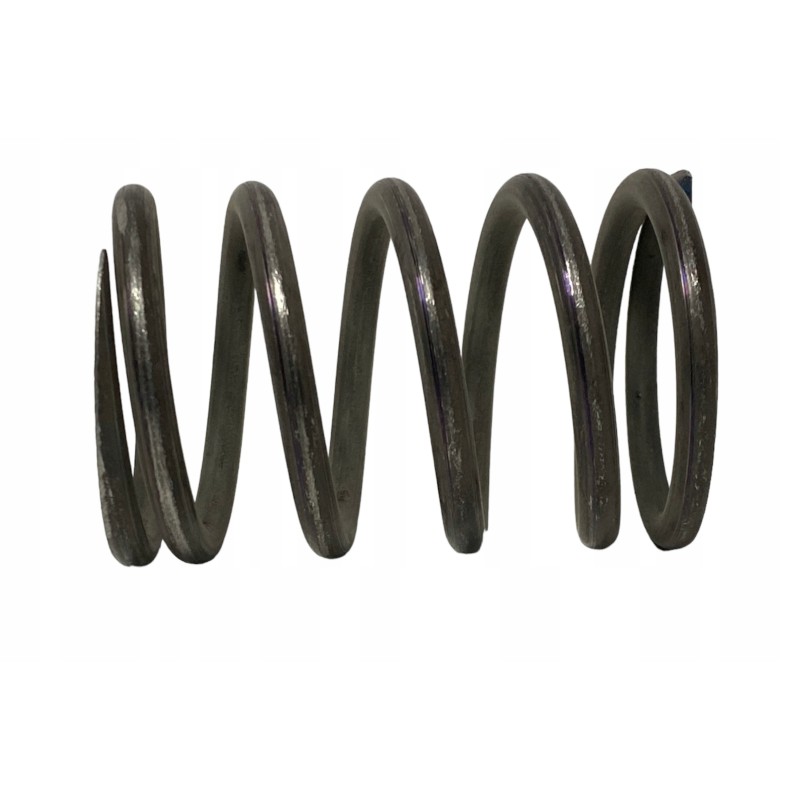 Outer valve spring 80005013 c 385 c385