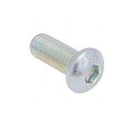 B00471230 Allen screw M12 x 30