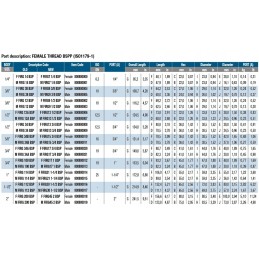 Flat face quick connector 1 4 bsp m firg7 stucchi