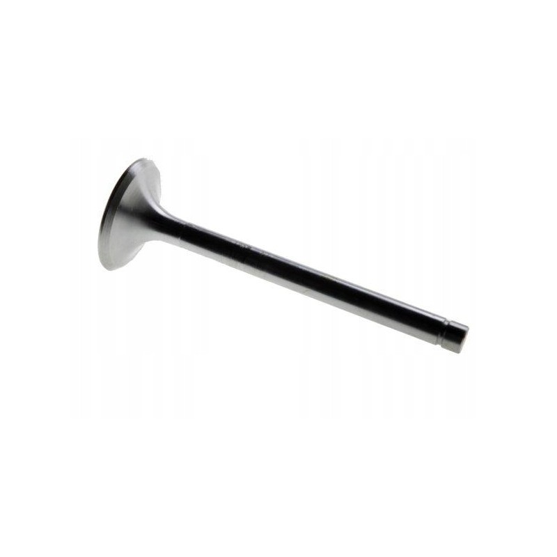 Zetor intake valve
