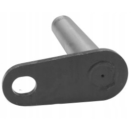 Arm mounting pin