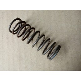 Internal valve spring for c 360 50505070 2 pcs