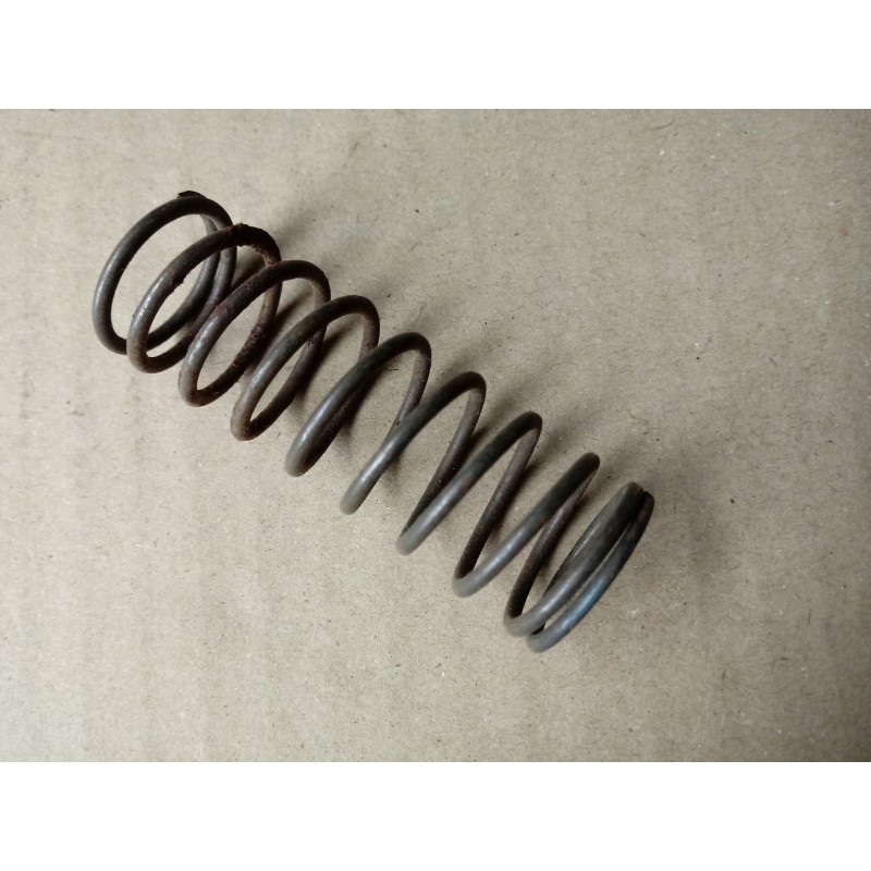 Internal valve spring for c 360 50505070 2 pcs
