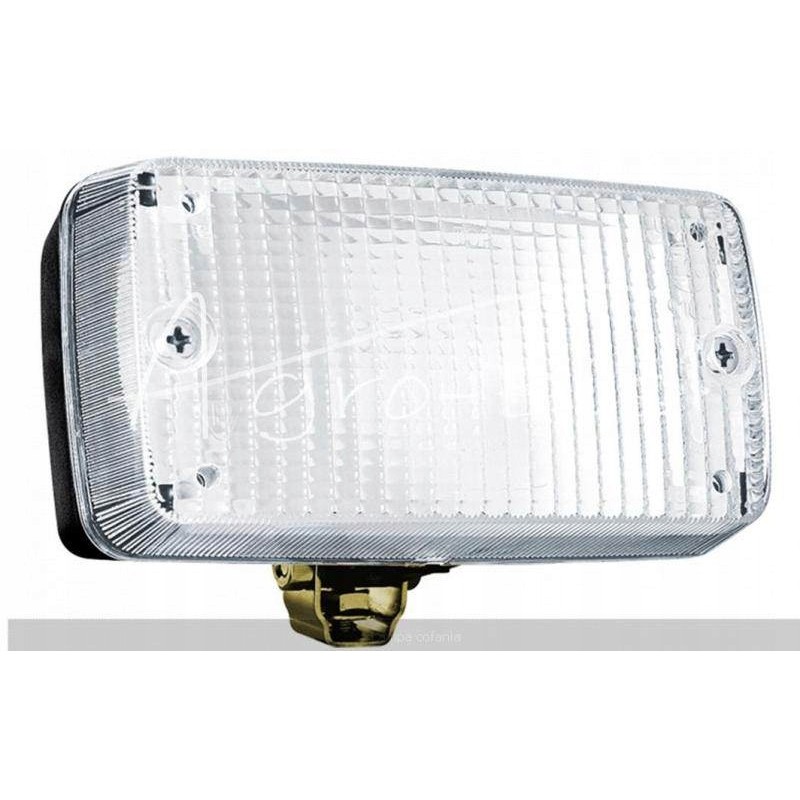 Motogeneric reversing lamp