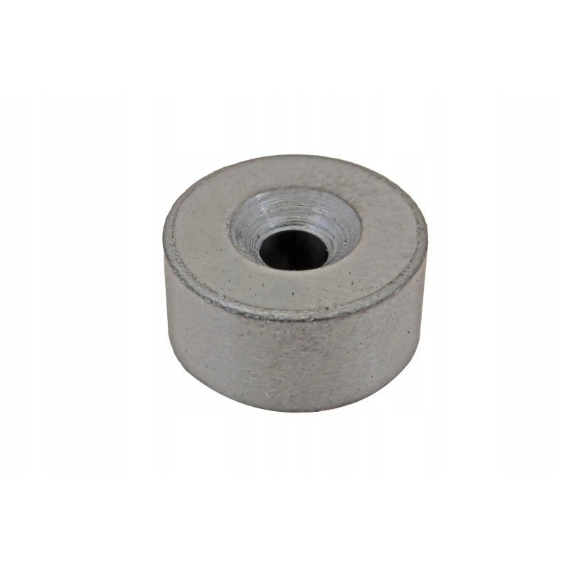Cel00059 magnet 20x10