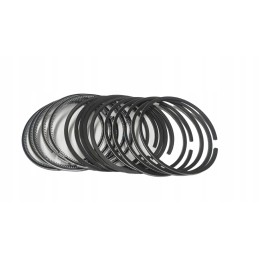 Doosan 65 02503 8146 piston rings