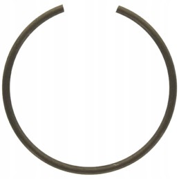 Expansion retaining ring x533316600000