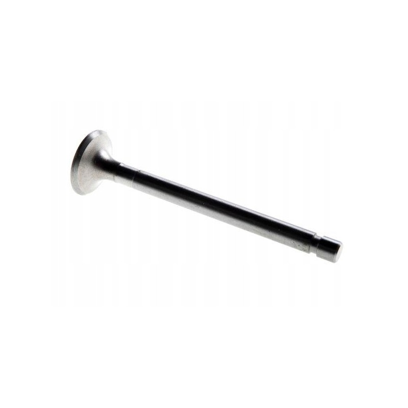 Exhaust valve c 360 50505061