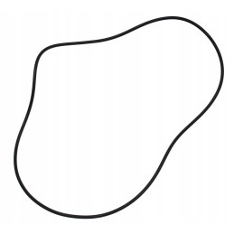 CVA seal in the cat rear axle