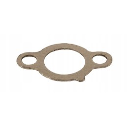 Exhaust gasket 691613