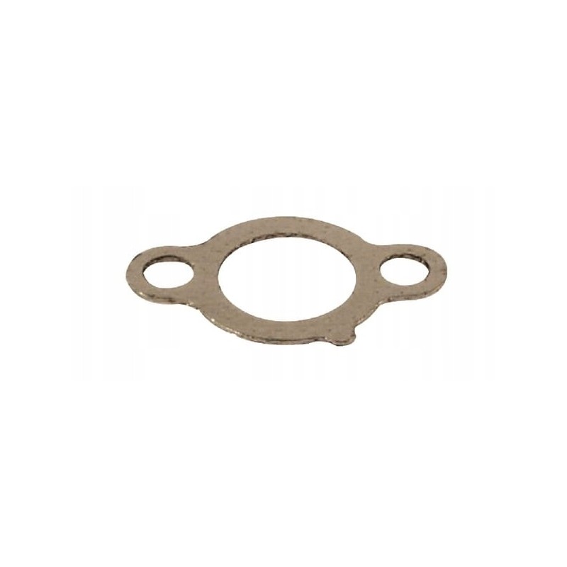 Exhaust gasket 691613