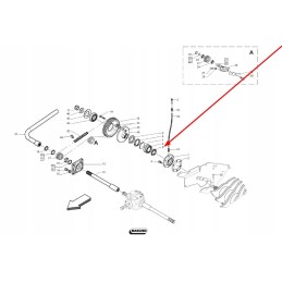 B04304966r oil seal 55 x 80 x 10