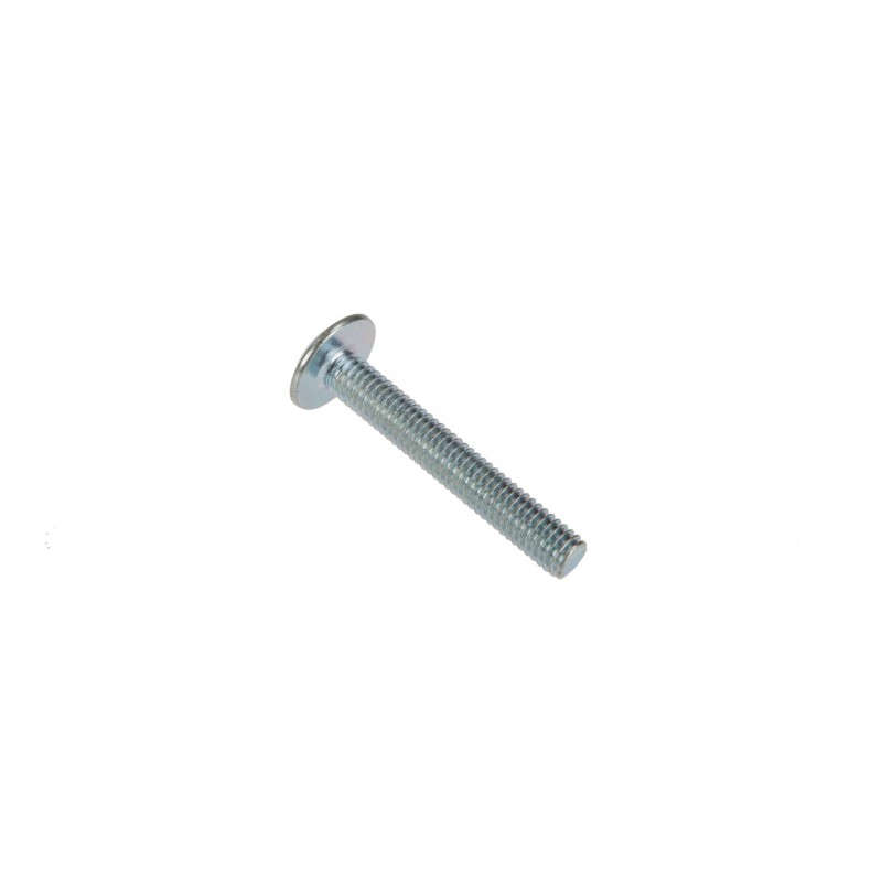 Bgc850509 screw m6 x 40