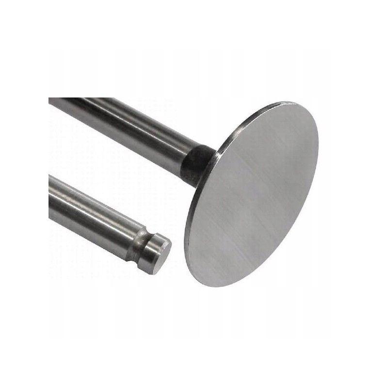 Vpa1080 massey fergosun intake valve