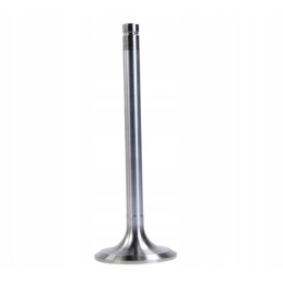 Intake valve turbo ur iv chrome ursus c 385