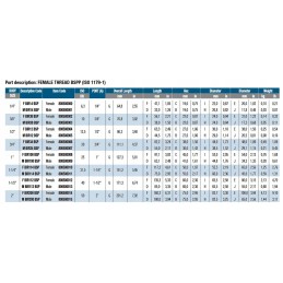 Mushroom quick connector 3 8 f bir38 bsp stucchi