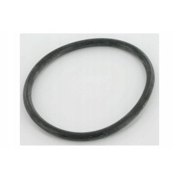 X810150020010 fendt seal