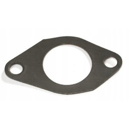 Manifold gasket mtz 80014