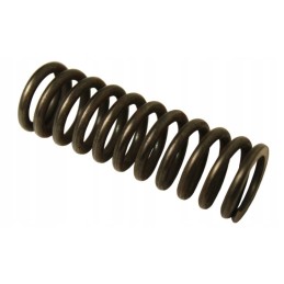 Clutch pressure spring wladimirec t 25 2521103a