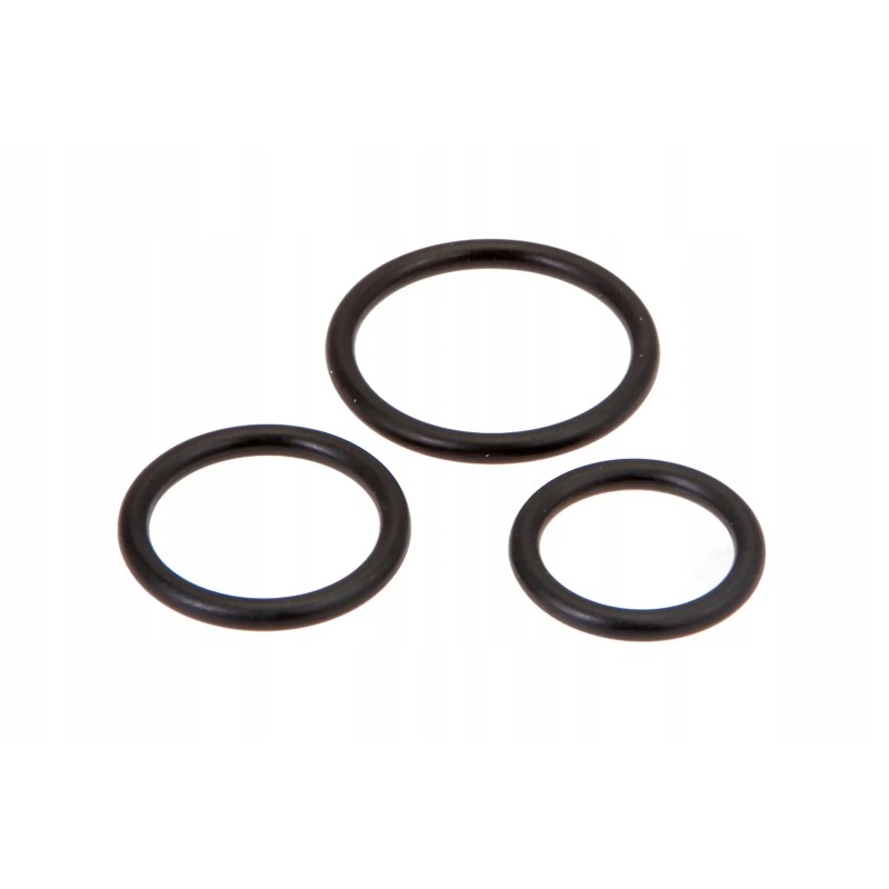 Cse00618 sealing ring set