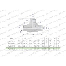 Hydraulic tee inch bbb 1 bsp xt m