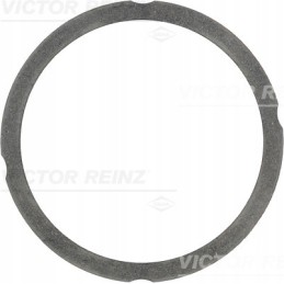 Reinz gasket 04157654