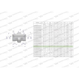 Inch hydraulic fitting bb 3 4 bsp 5 p