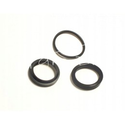 Seals cn1sc 32 150 neptun