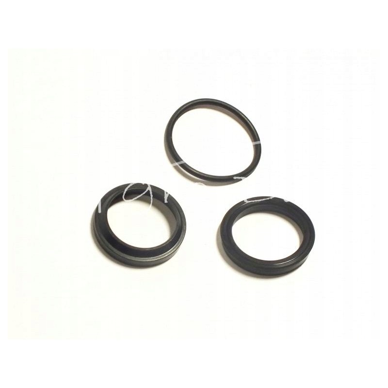 Seals cn1sc 32 150 neptun