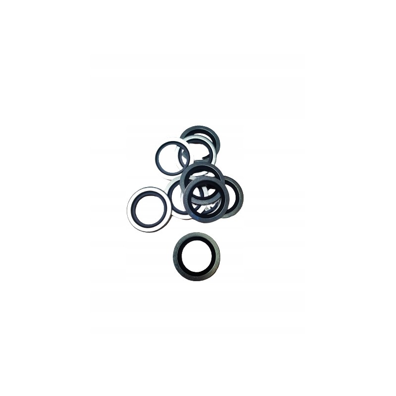 Metal and rubber sealing washer, diameter 6