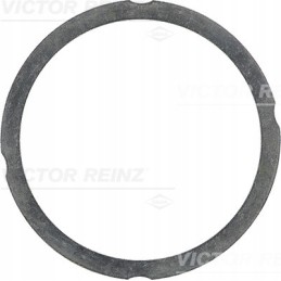 Reinz gasket 04157658