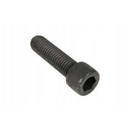 700000267 screw with plunger piston socket 5 8