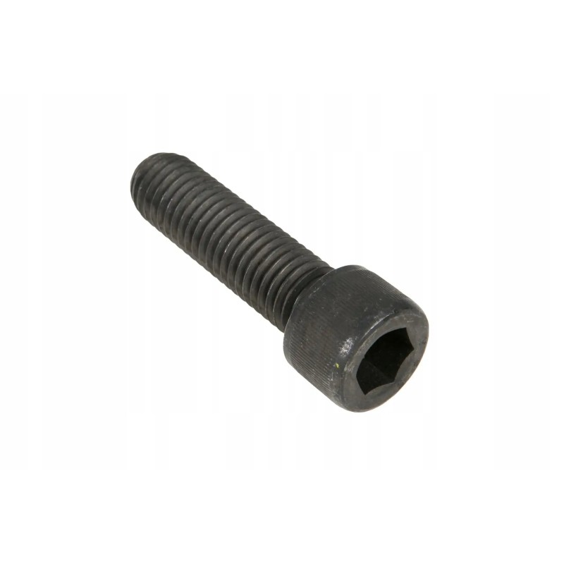 700000267 screw with plunger piston socket 5 8