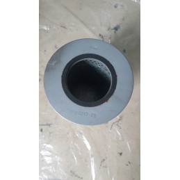 Argo filter p2121723