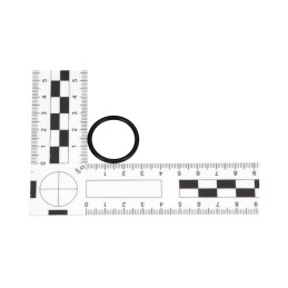 Manitou 548016 piston seal
