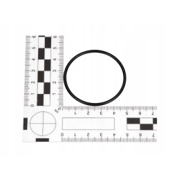 Original o ring manitou 602775